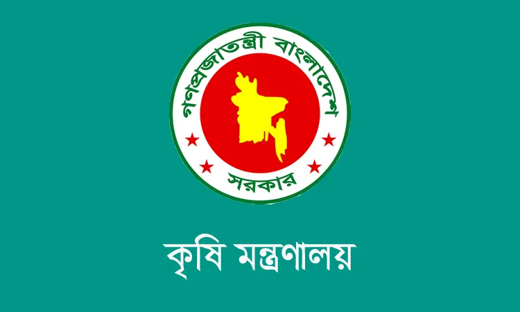 দেশের শস্য ভাণ্ডারে যুক্ত হলো দুটি হাইব্রিডসহ ছয়টি নতুন ধানের জাত